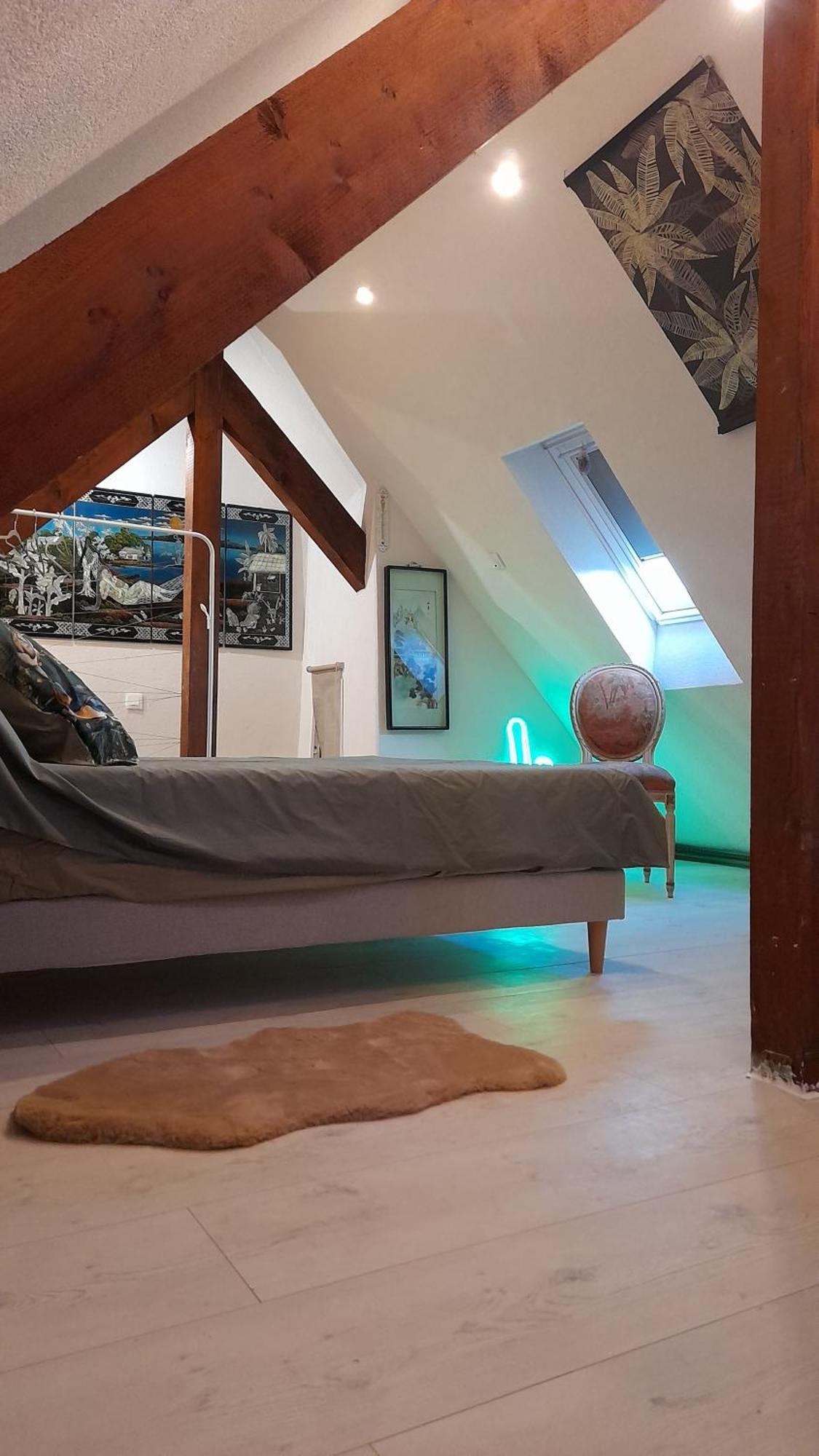 Olympe Villa Dessenheim Kültér fotó