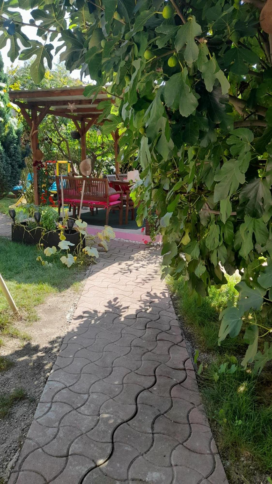 Olympe Villa Dessenheim Kültér fotó